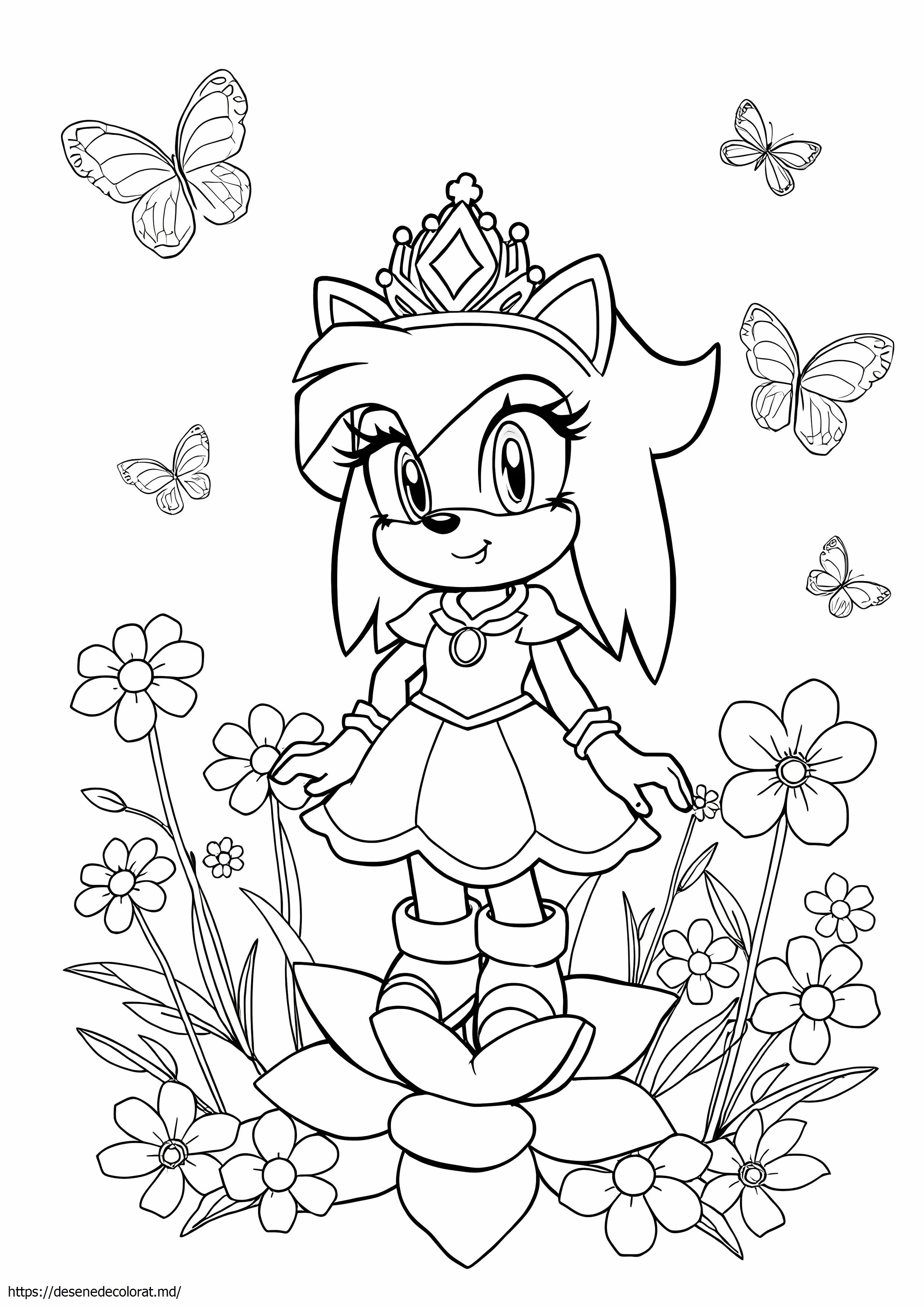 Prințesa arici amy rose