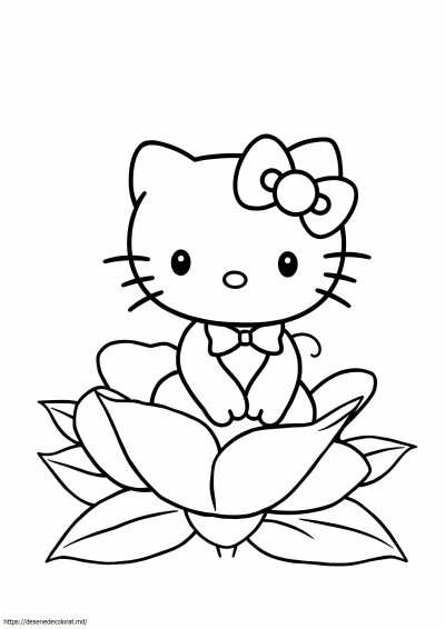 Hello kitty cat