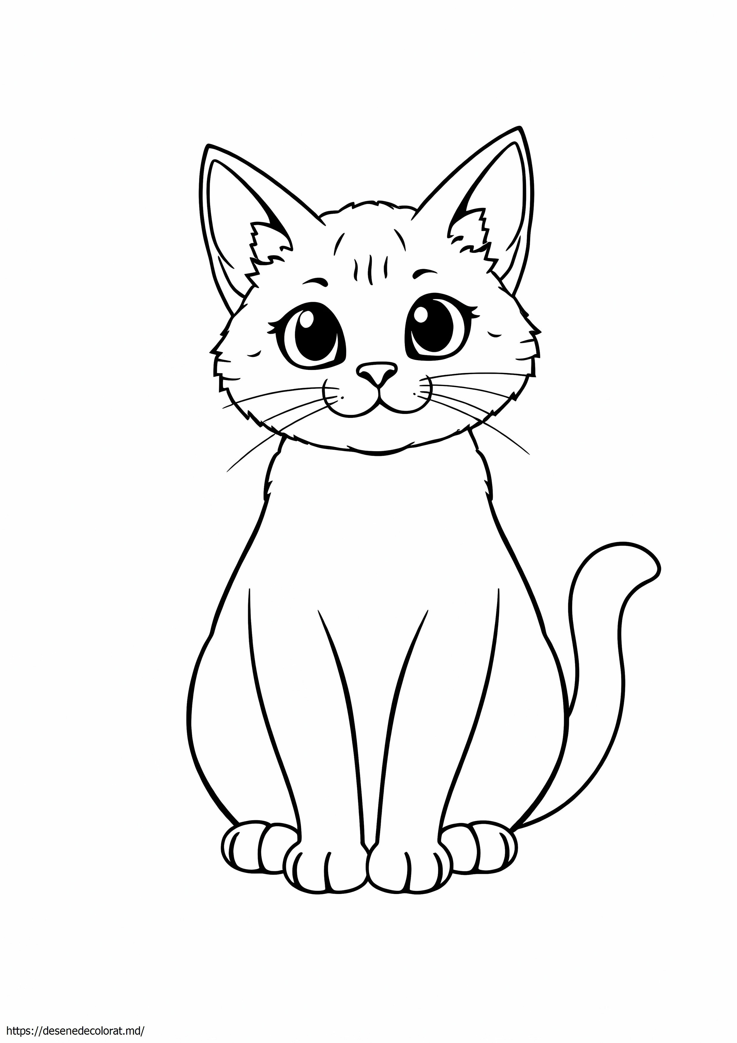 Pisica ragdoll