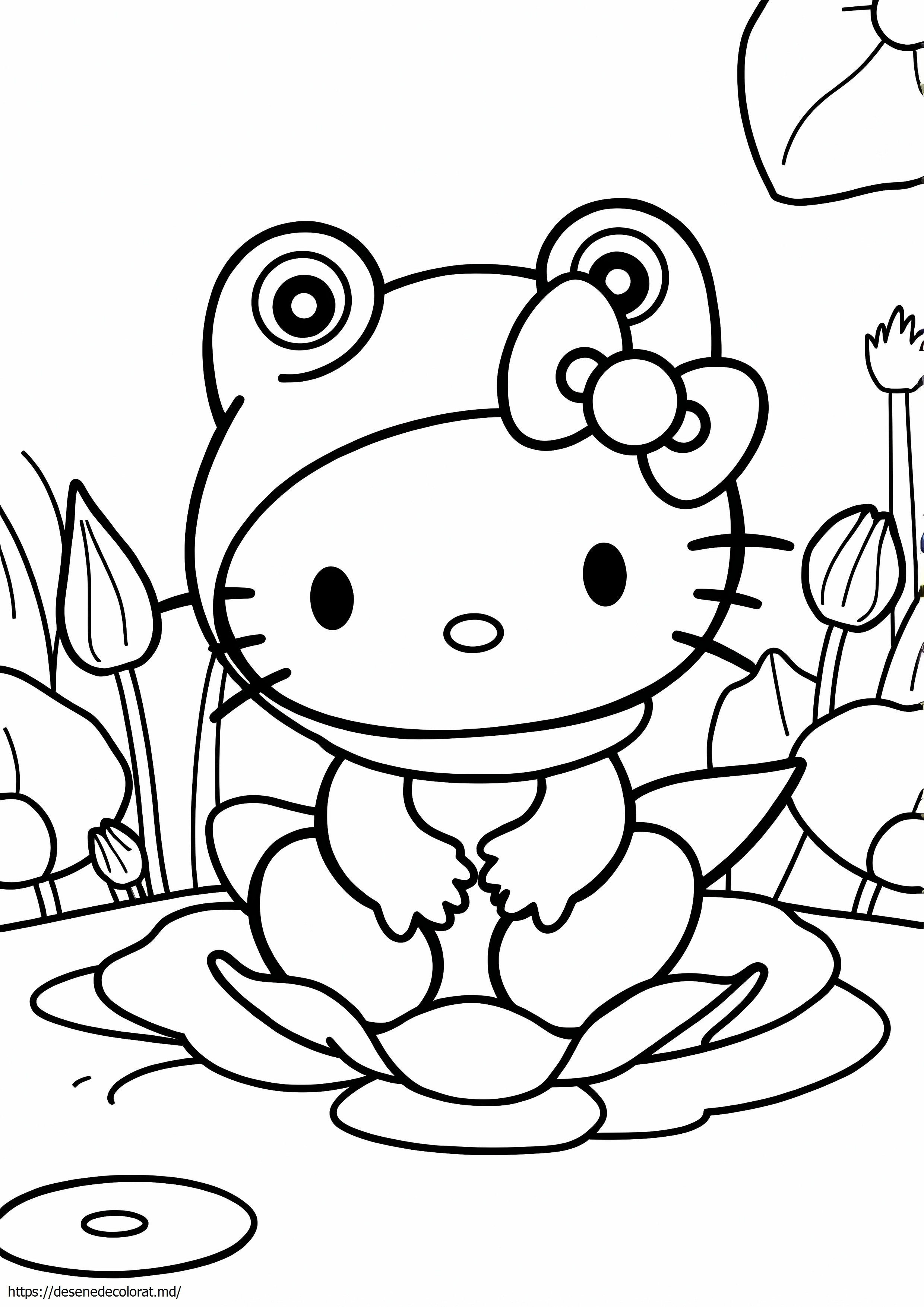 Hello kitty broasca