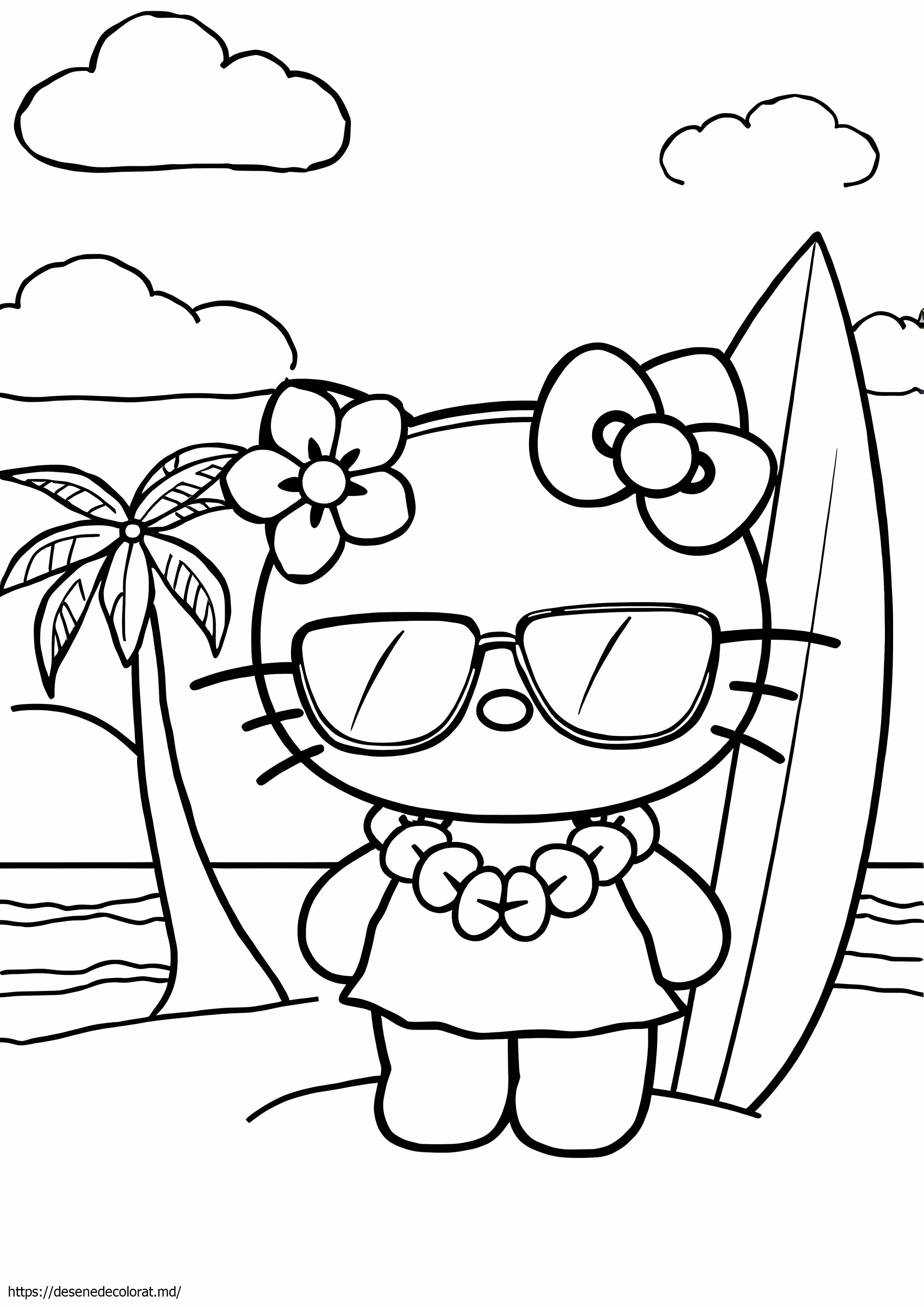 Hello kitty hawaii