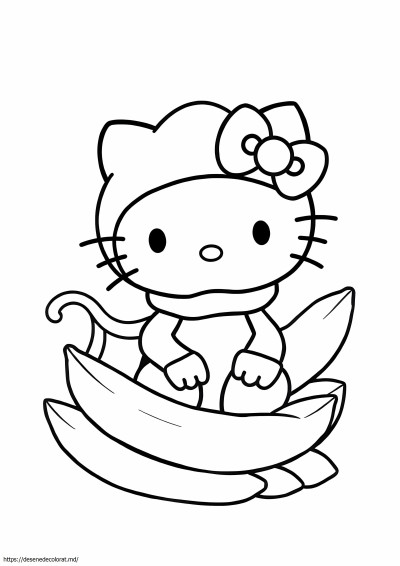 Hello kitty monkey