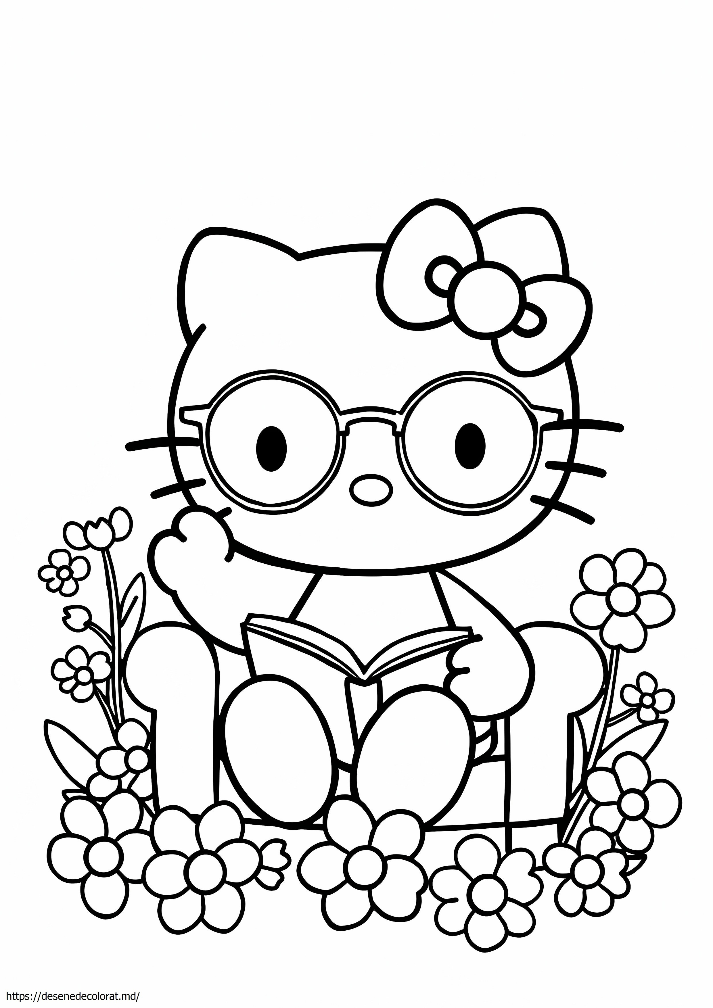 Hello kitty cu ochelari