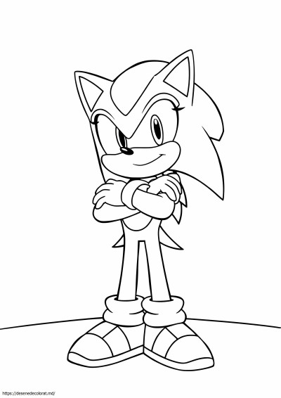 Jet de la sonic