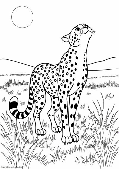 Ghepard realist