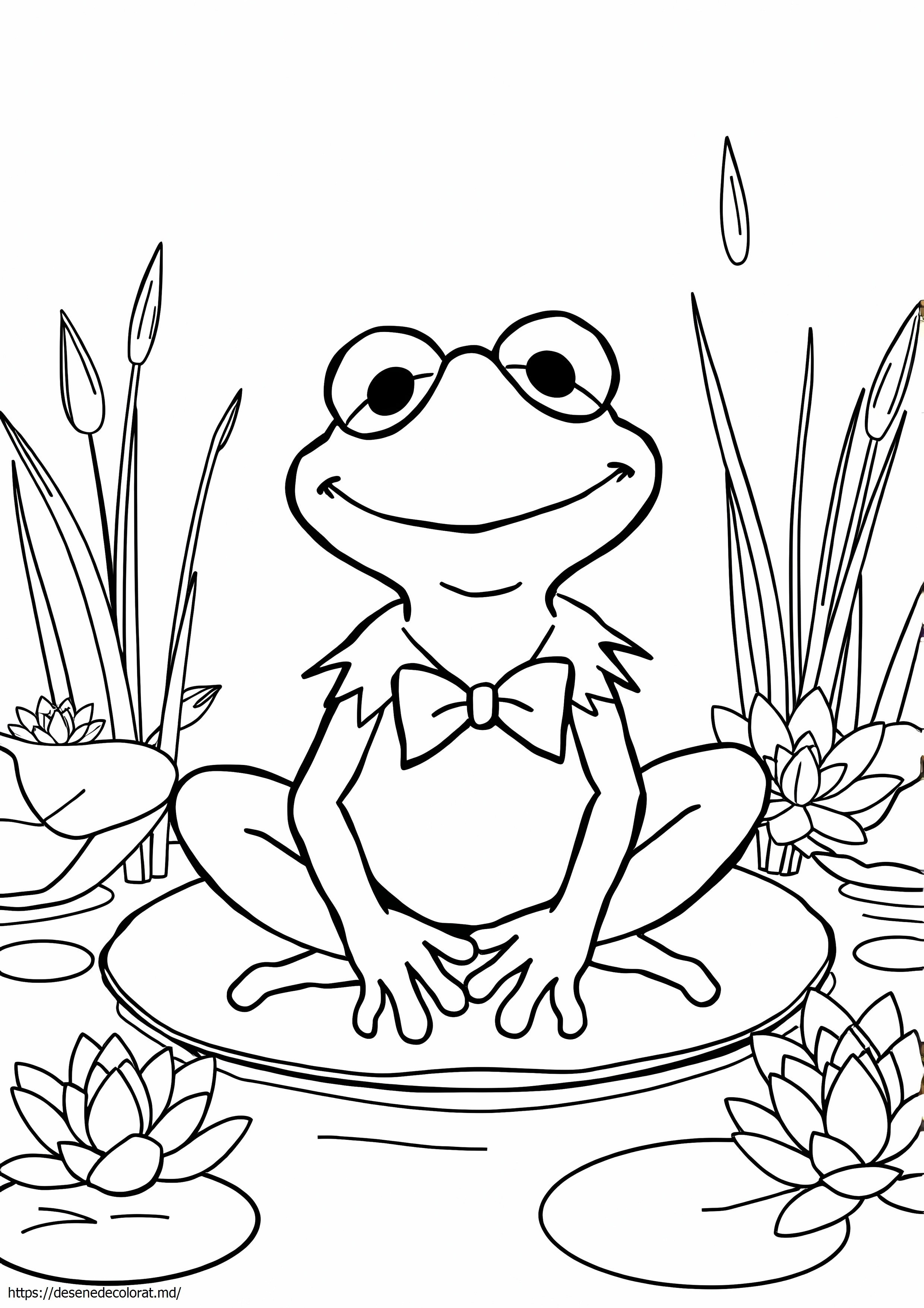 Kermit broasca