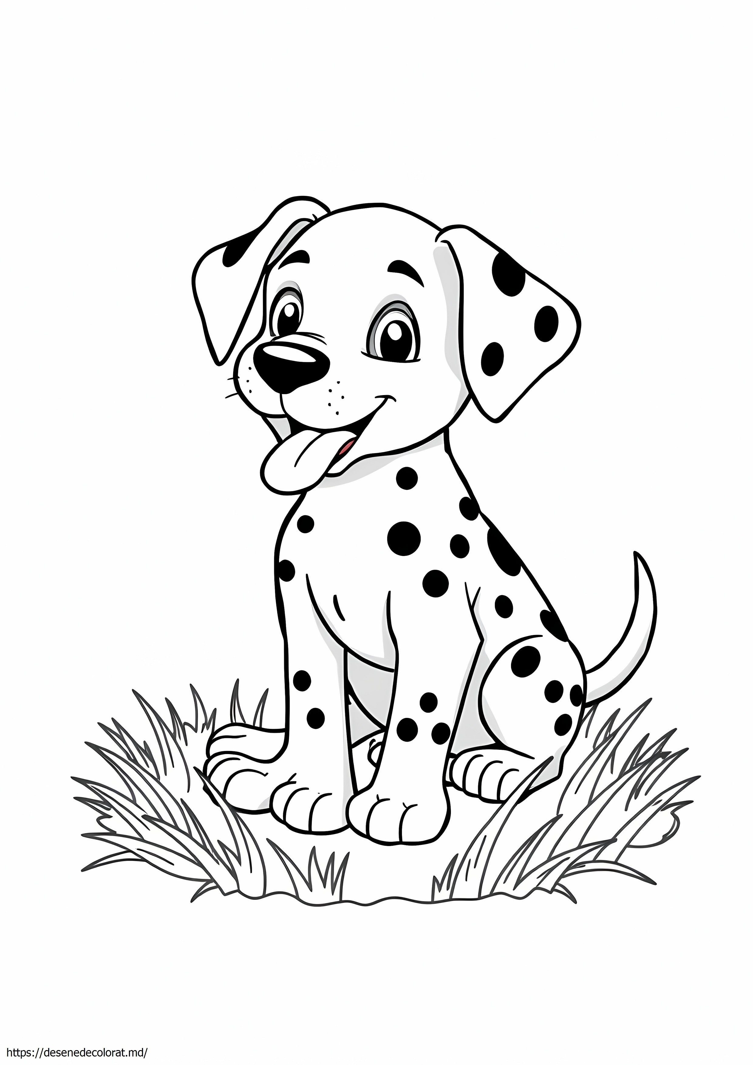 Dalmatian realist