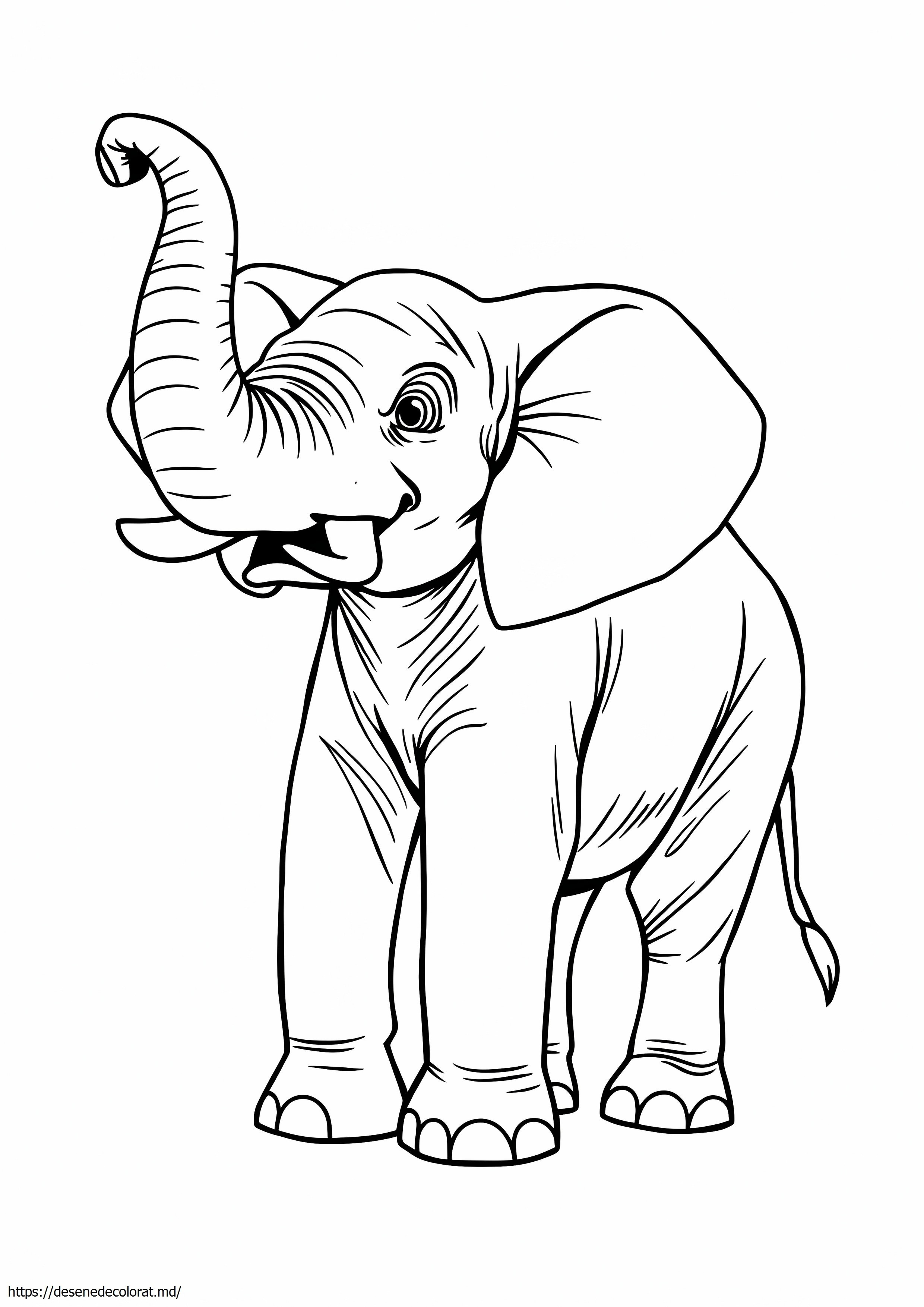 Elefant realist