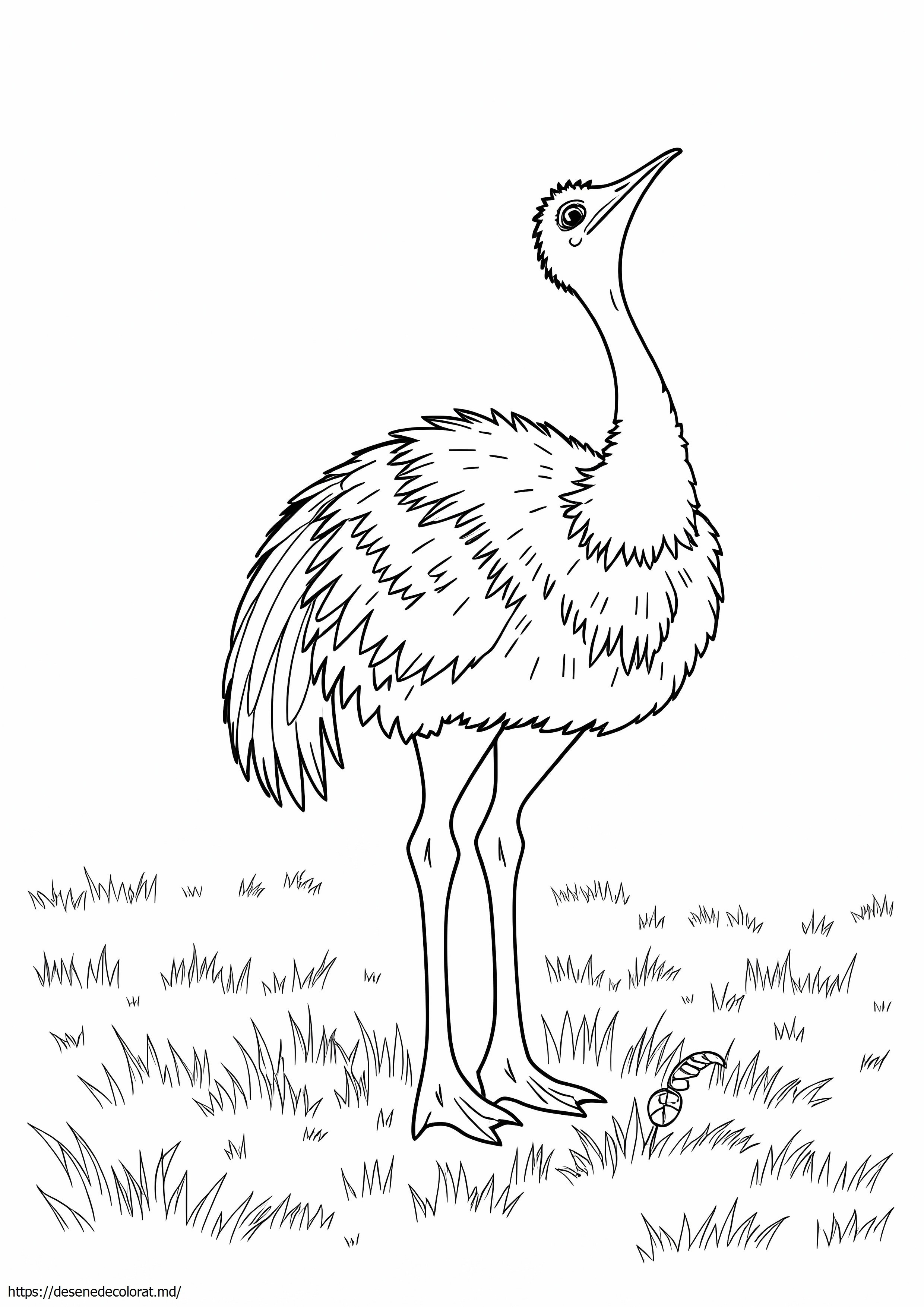 Emu realist