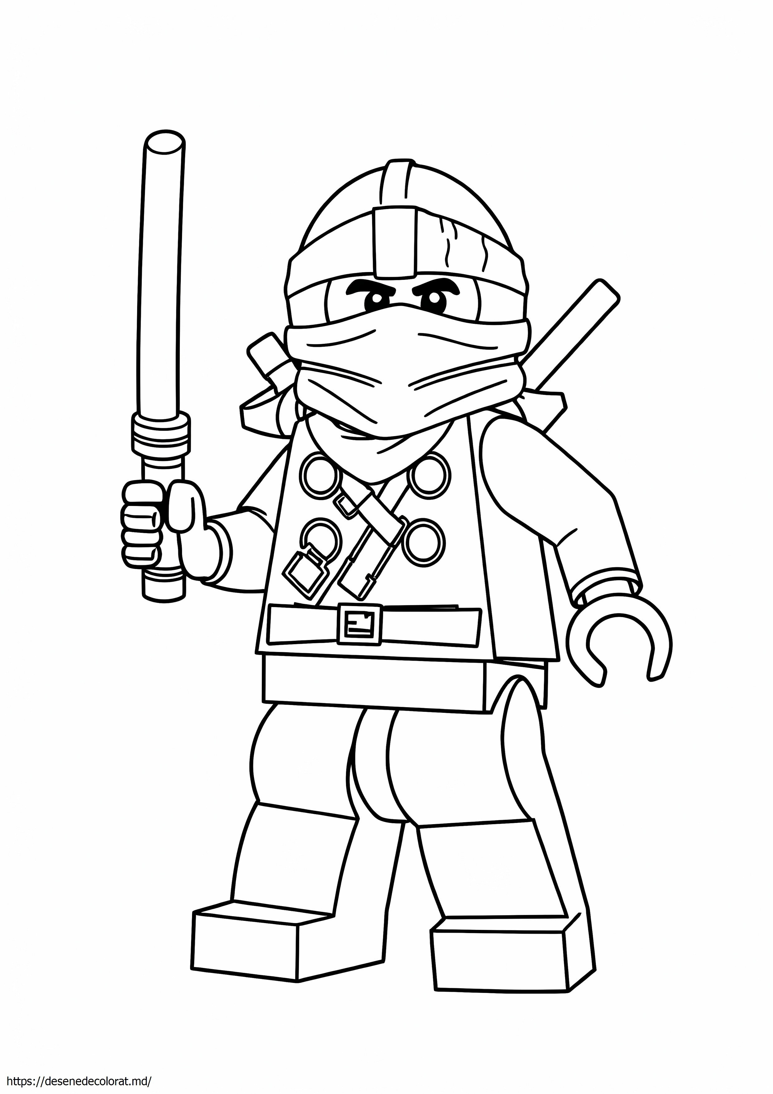 Lego ninjago cole
