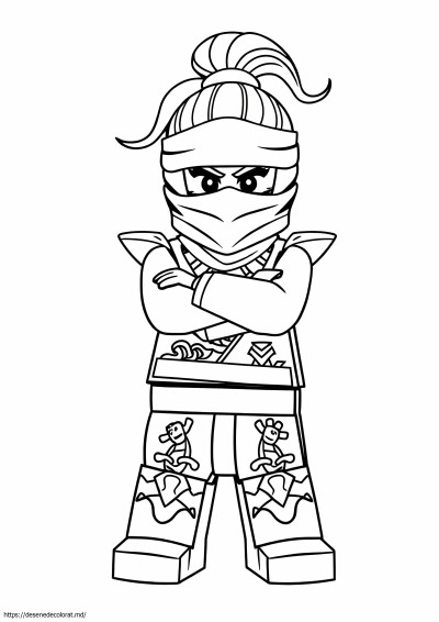Lego ninjago nya