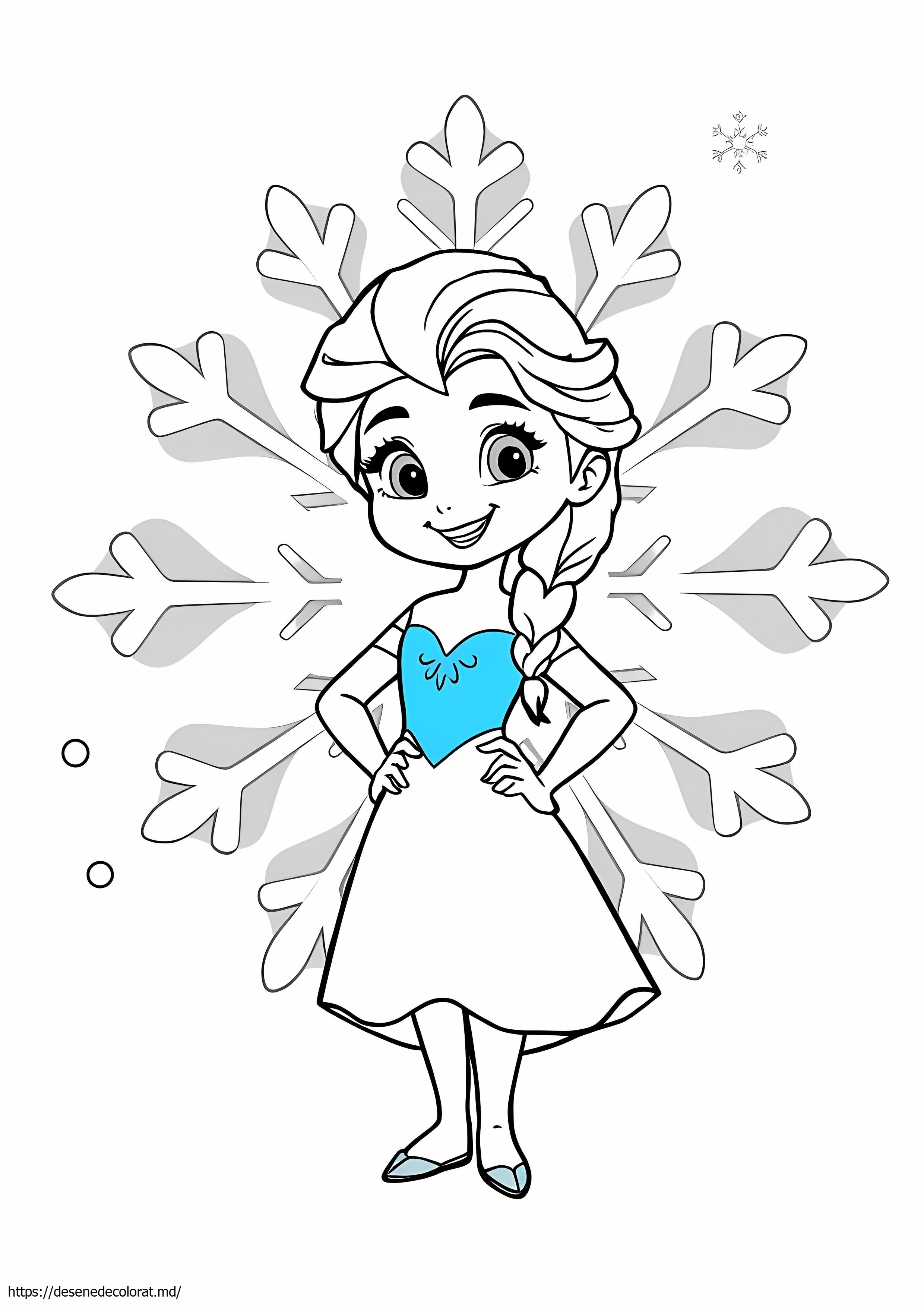 Mica elsa