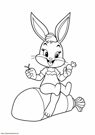 Lola baby looney tunes