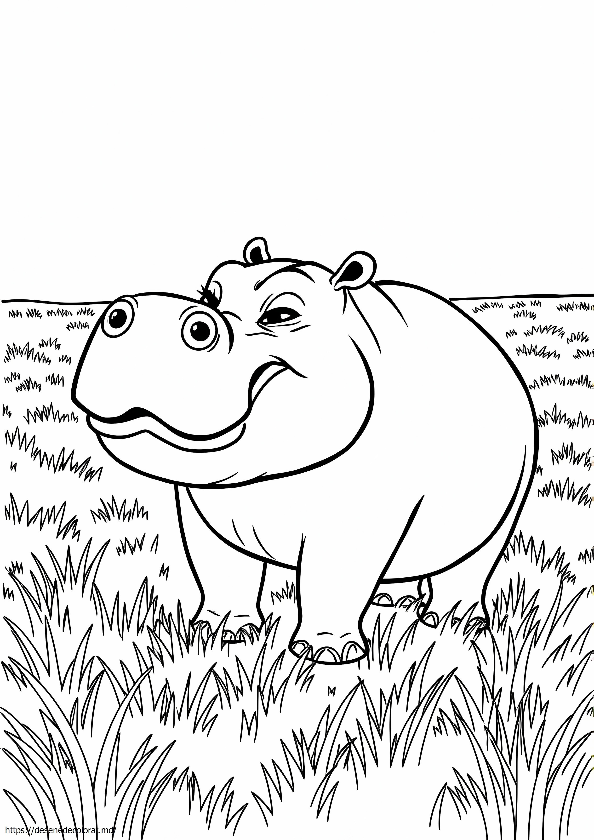 Hipopotam realist