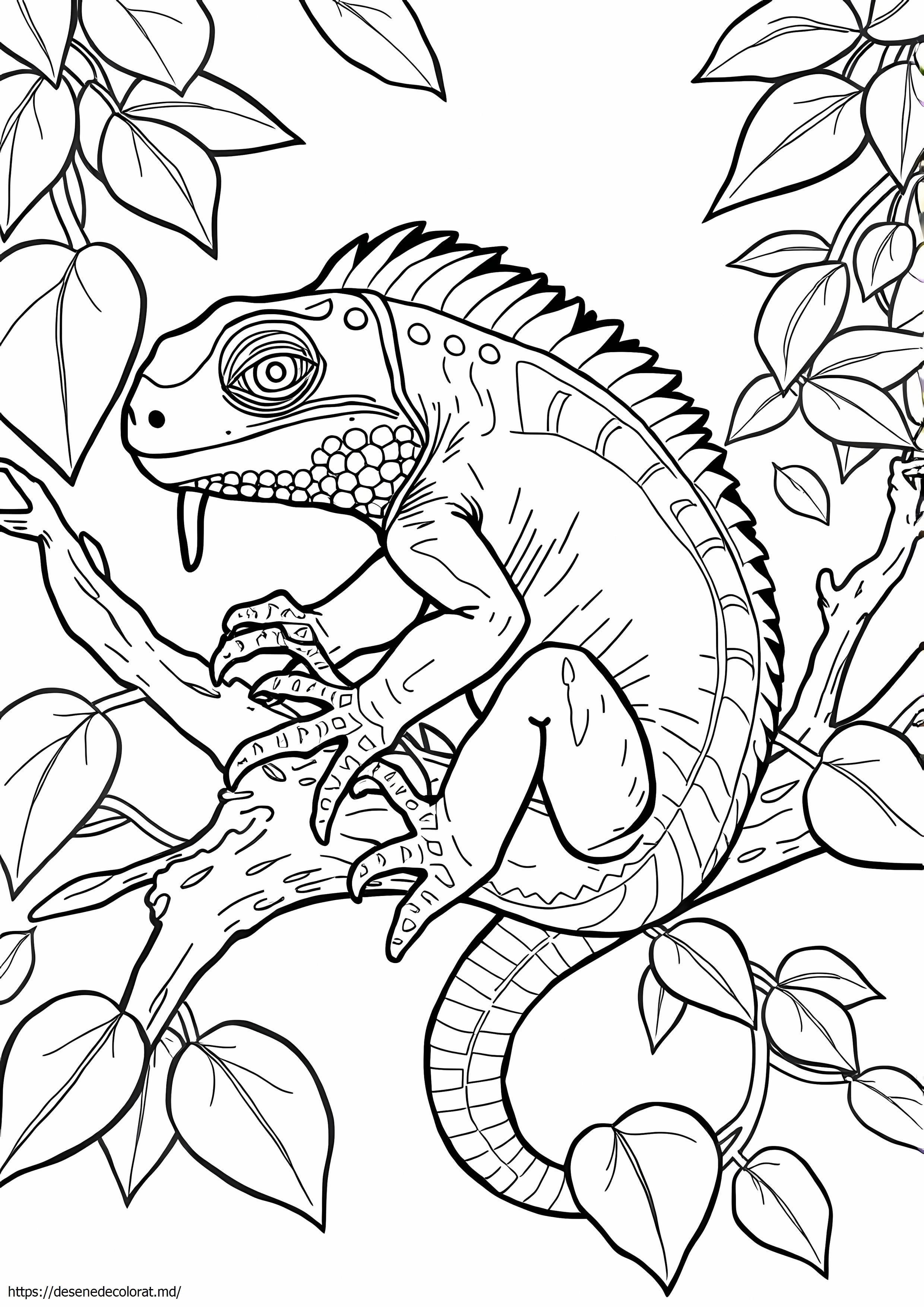 Iguană realistă