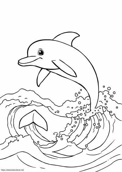 Delfin săritor realist