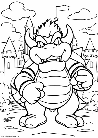 Mario bowser jr