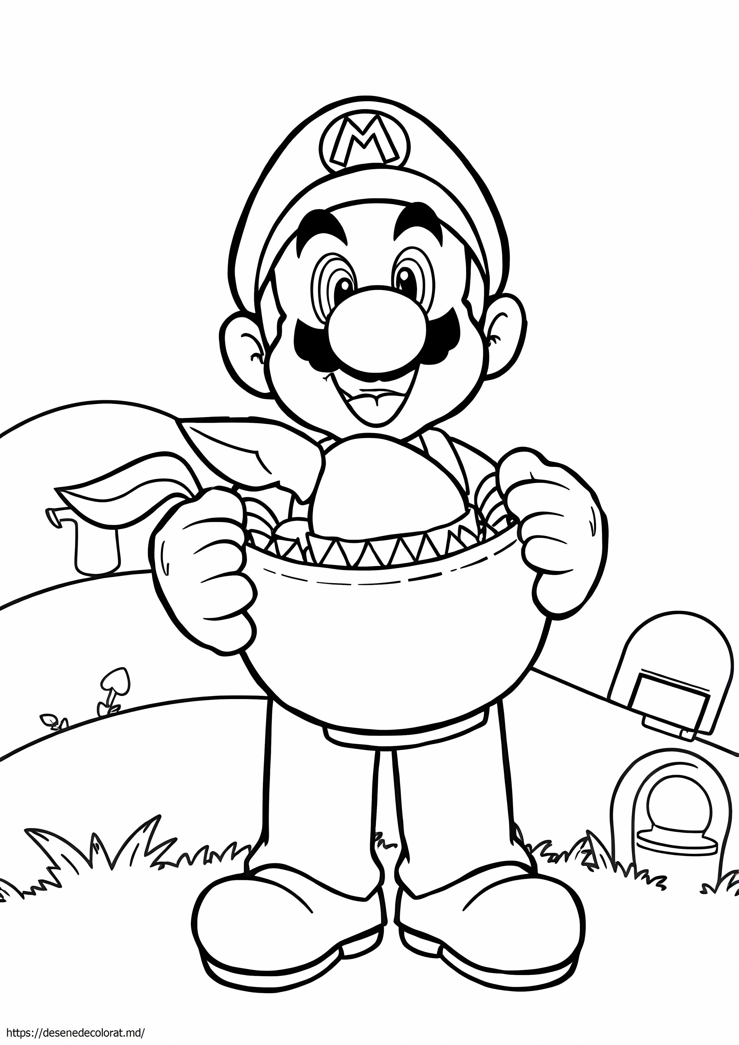 Planta mario piranha