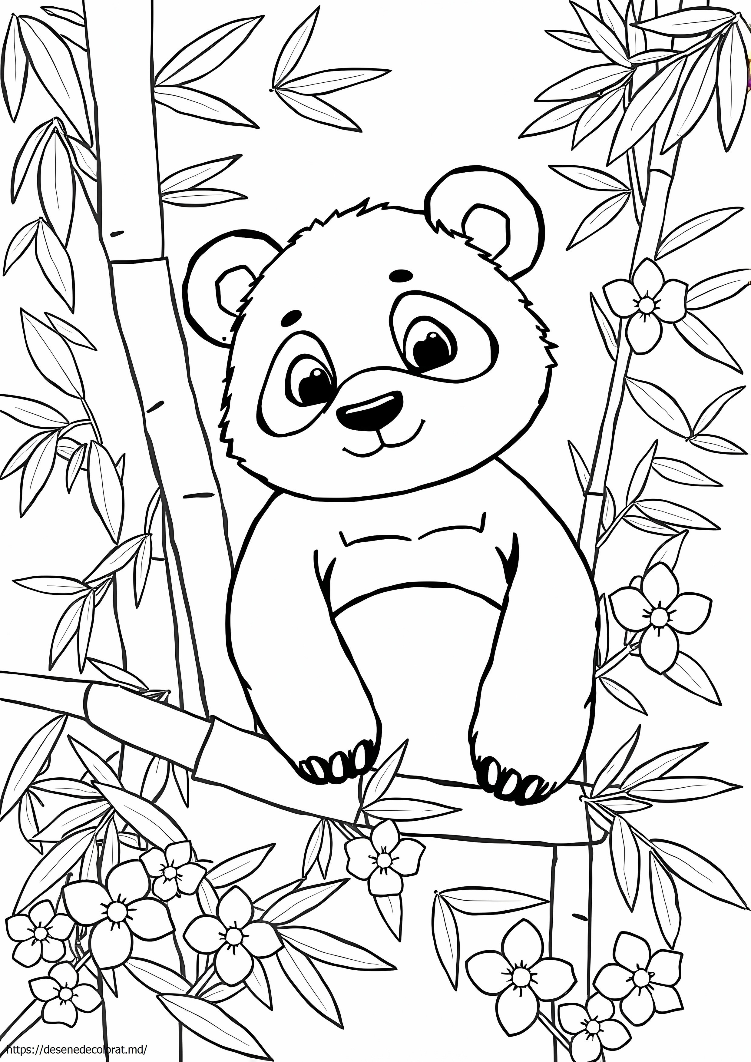 Panda realist