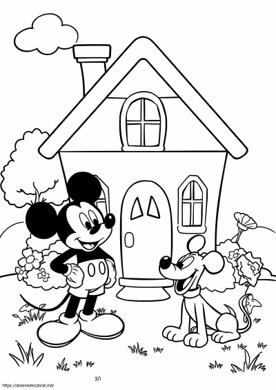 Casa mickey mouse