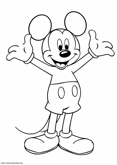 Pantaloni scurți mickey mouse