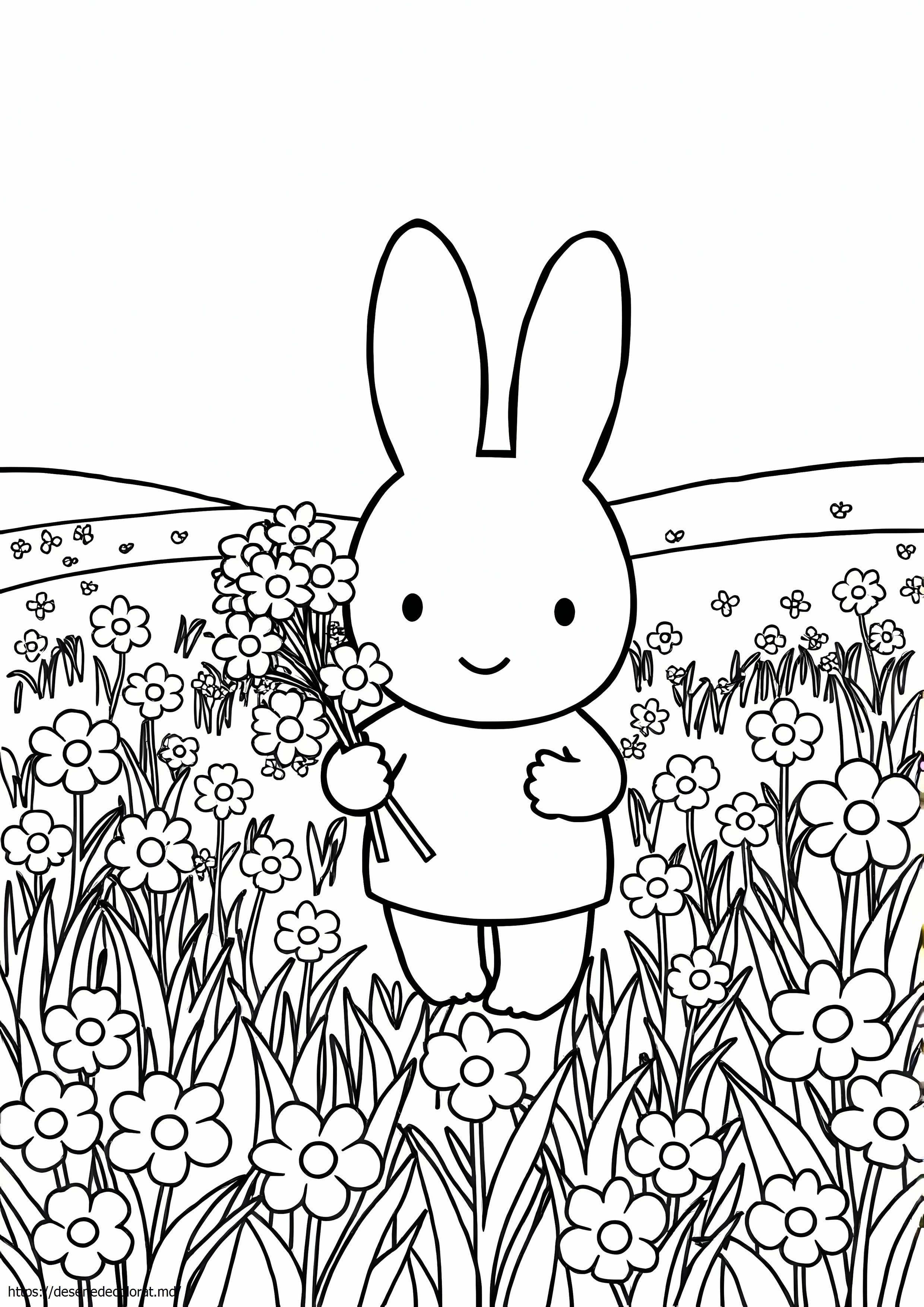 Miffy
