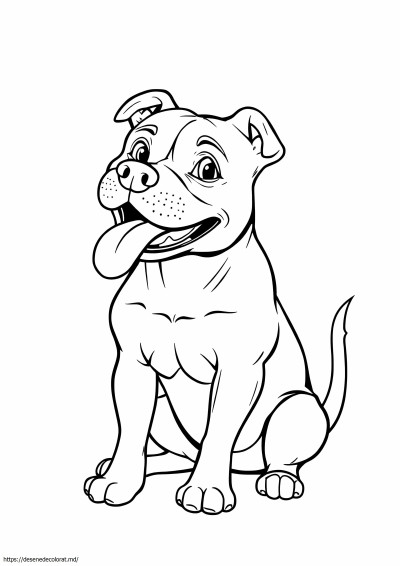 Câine pitbull realist