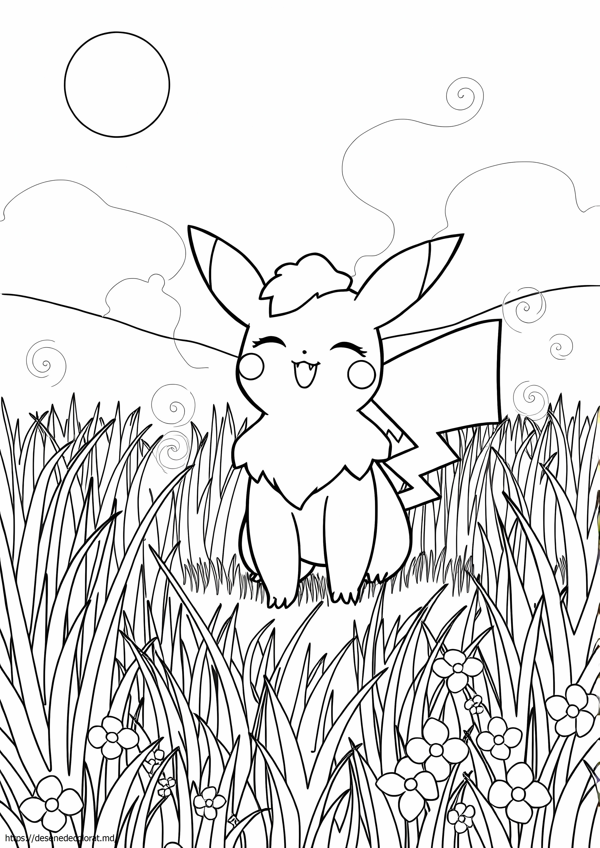 Pokemon cețos