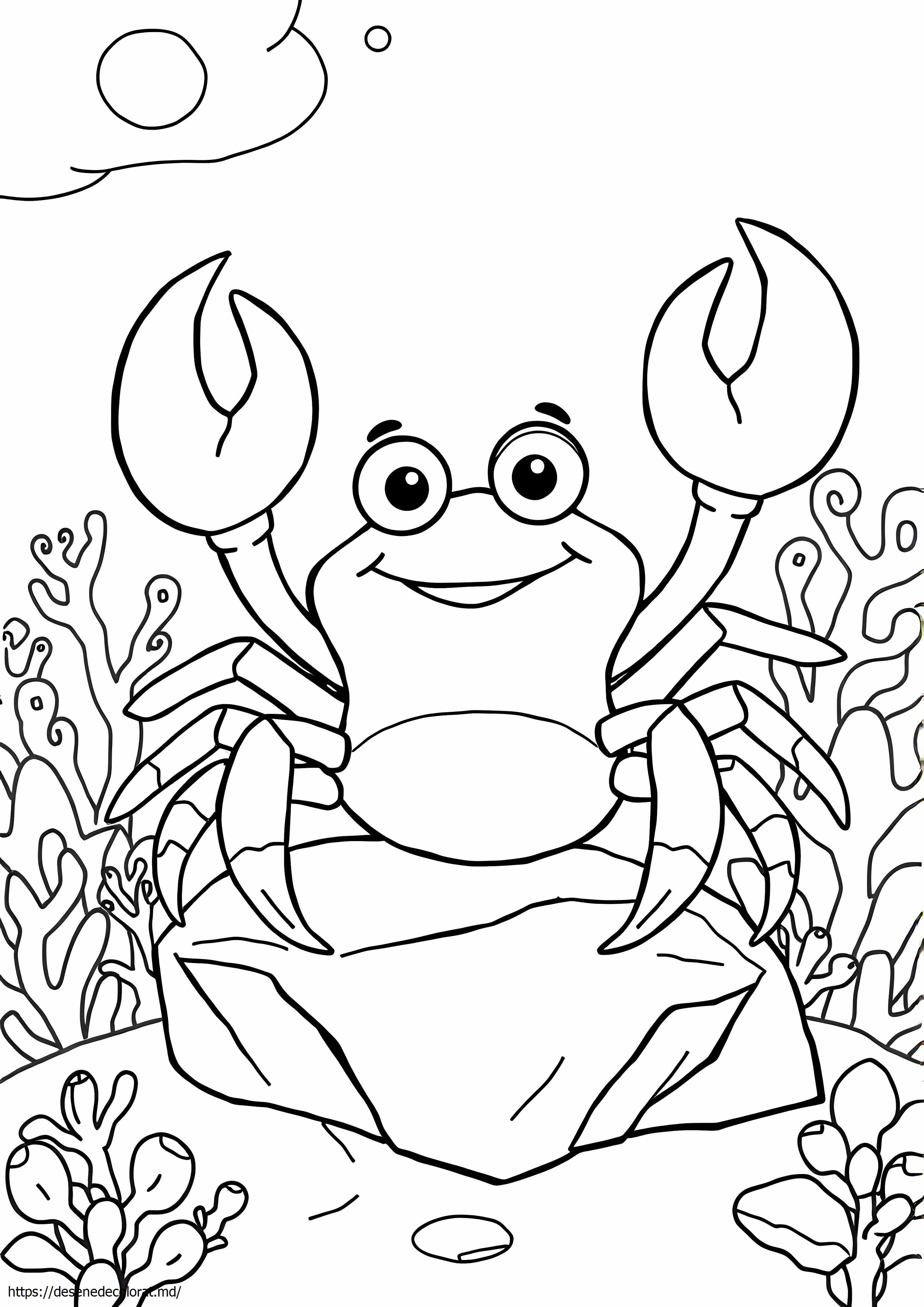 Moana crab