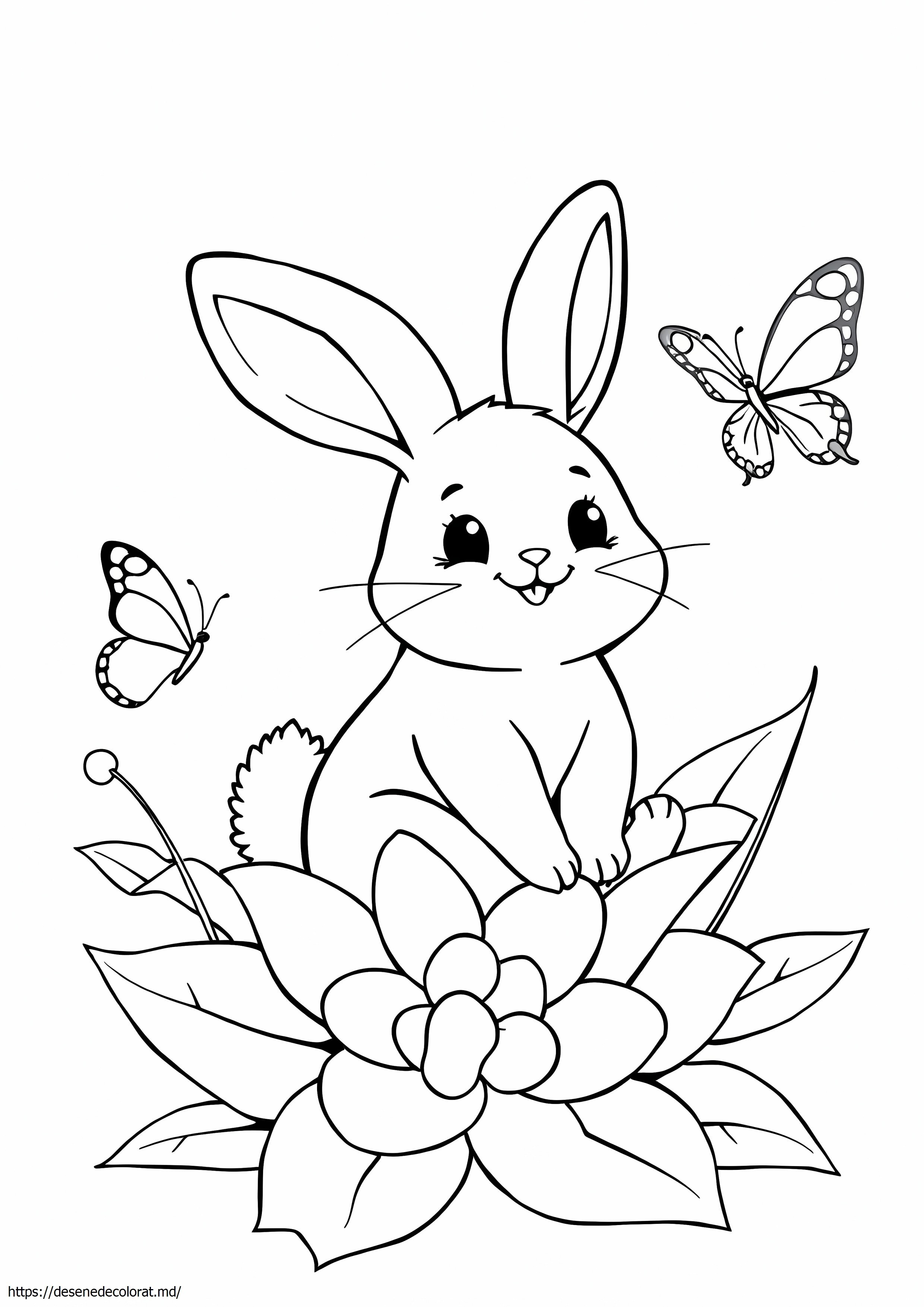 Molang