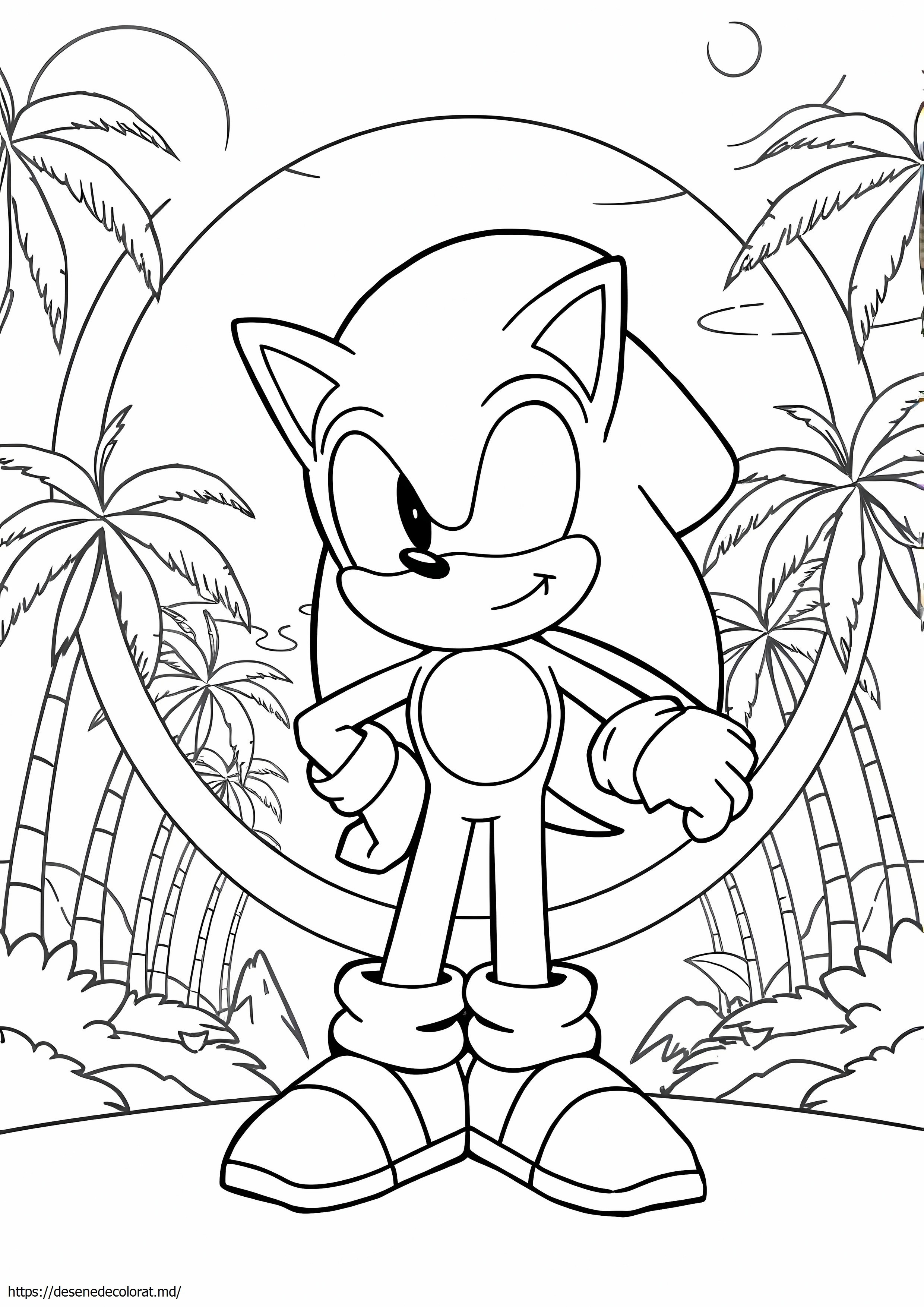 Nou sonic