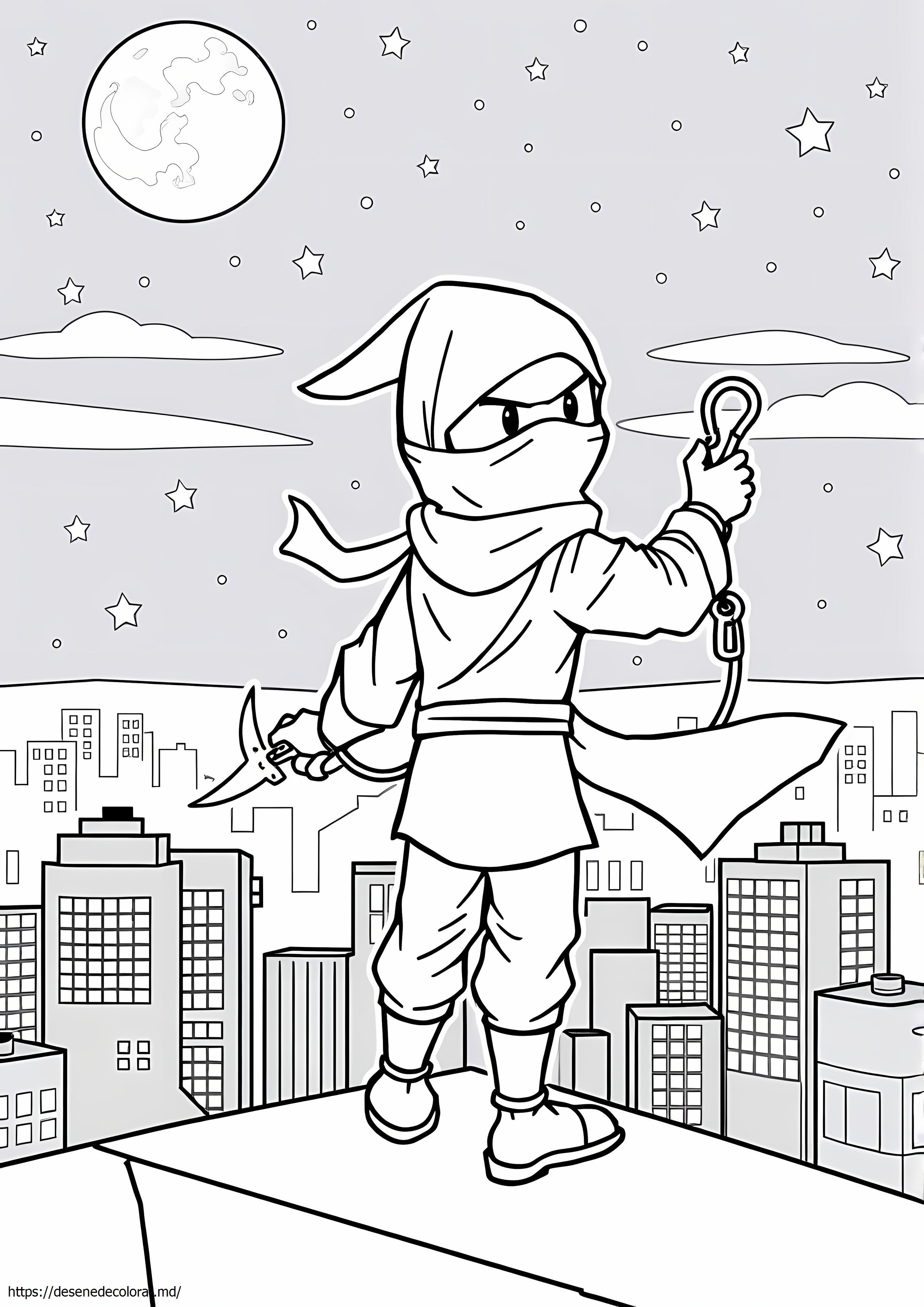Ninja de noapte