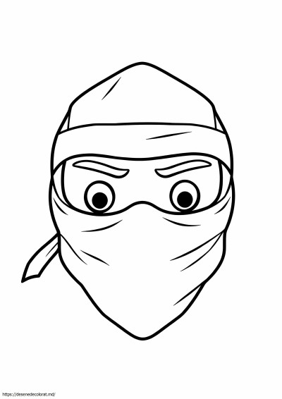 Masca ninja