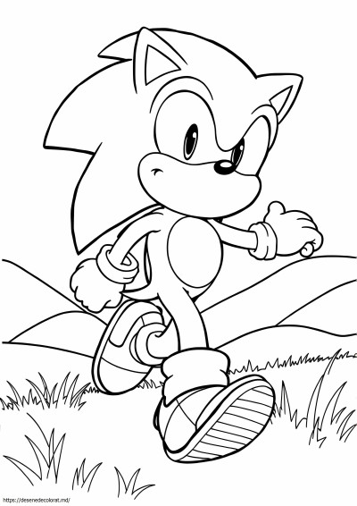 Nouă sonic