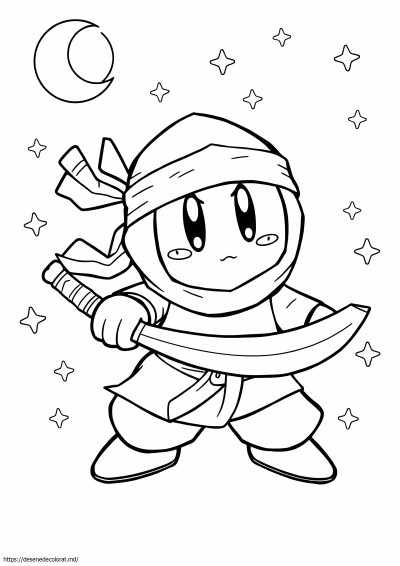 Ninja kirby