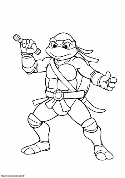 Broasca testoasa ninja