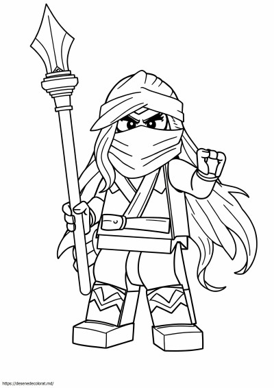 Ninjago aspheera