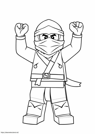 Ninjago cole