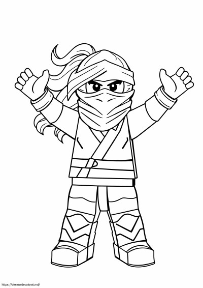 Ninjago nya