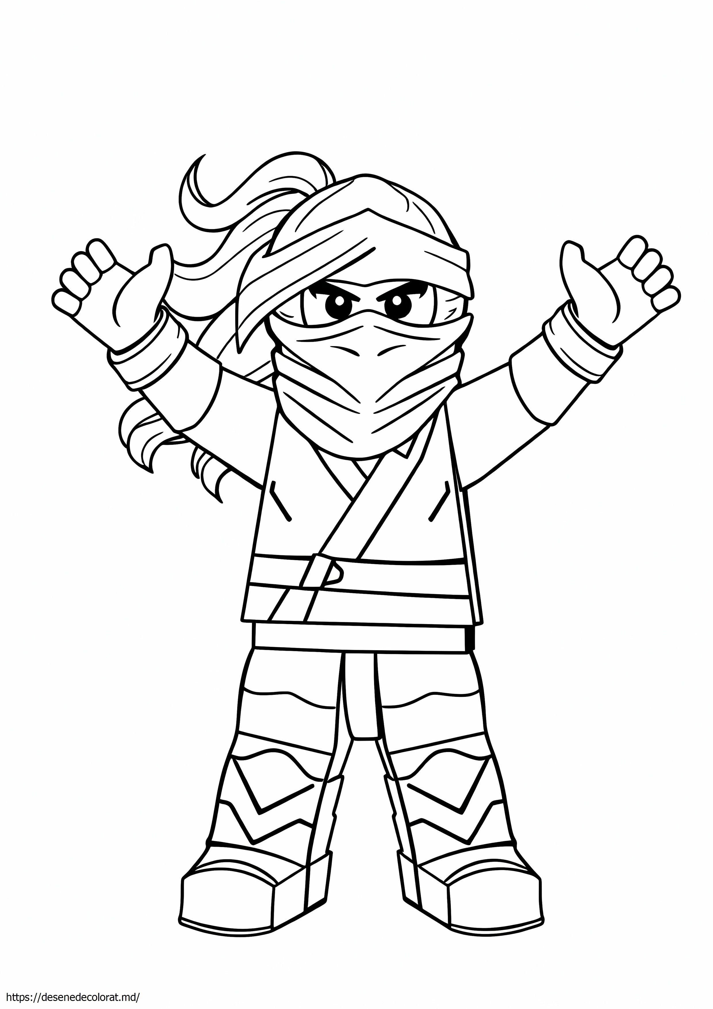 Ninjago nya