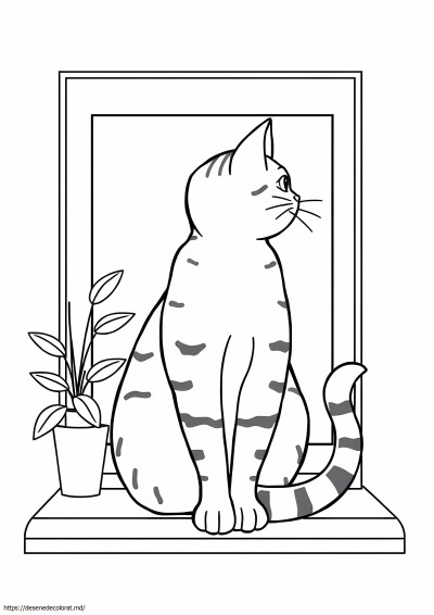 Pisica tabby realistă