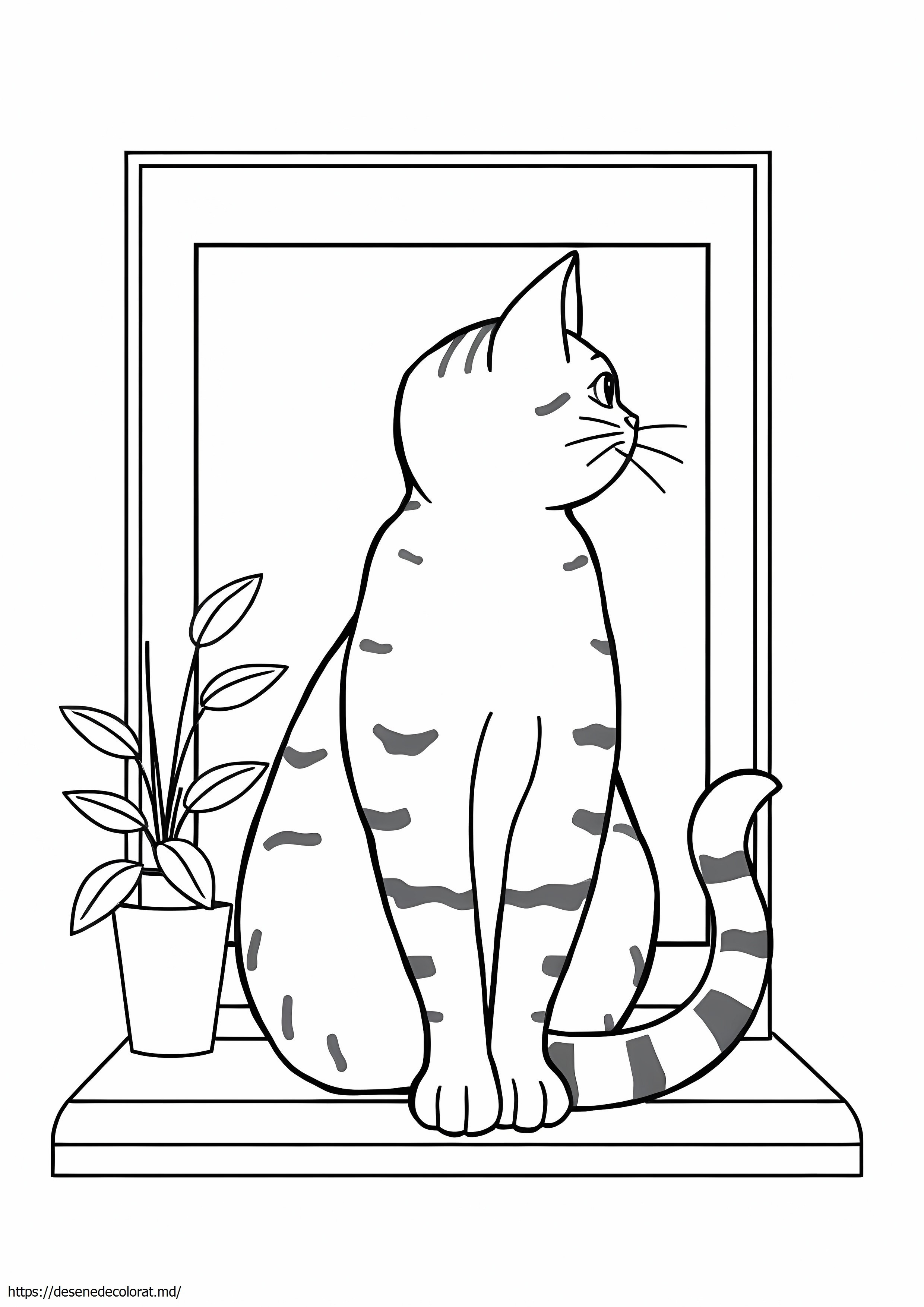Pisica tabby realistă
