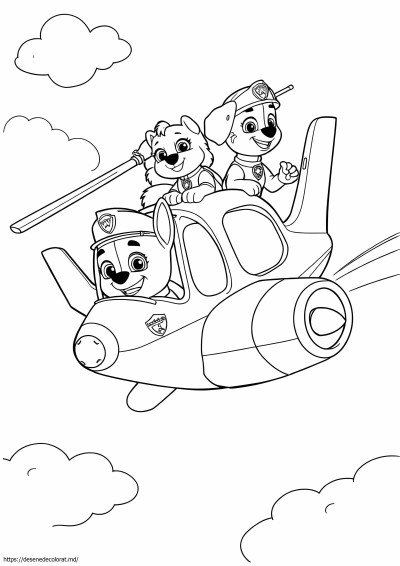 Patrula aeriană paw patrol