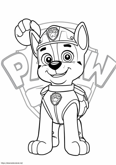 Paw patrol urmărire puternică