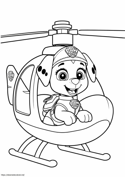 Elicopter skye patrula labe