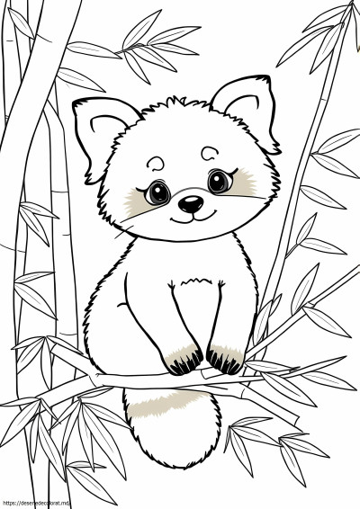 Panda roșu