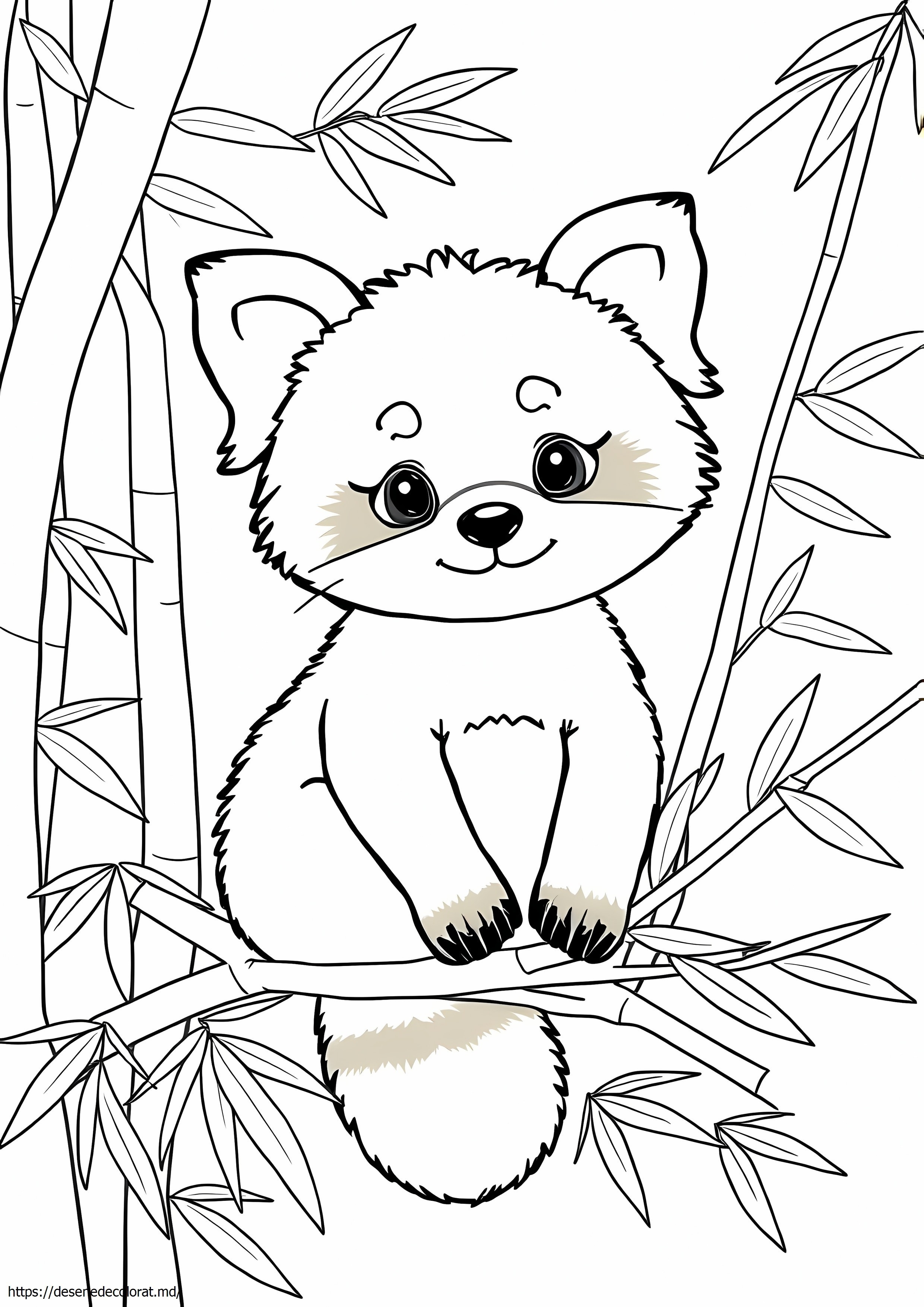 Panda roșu