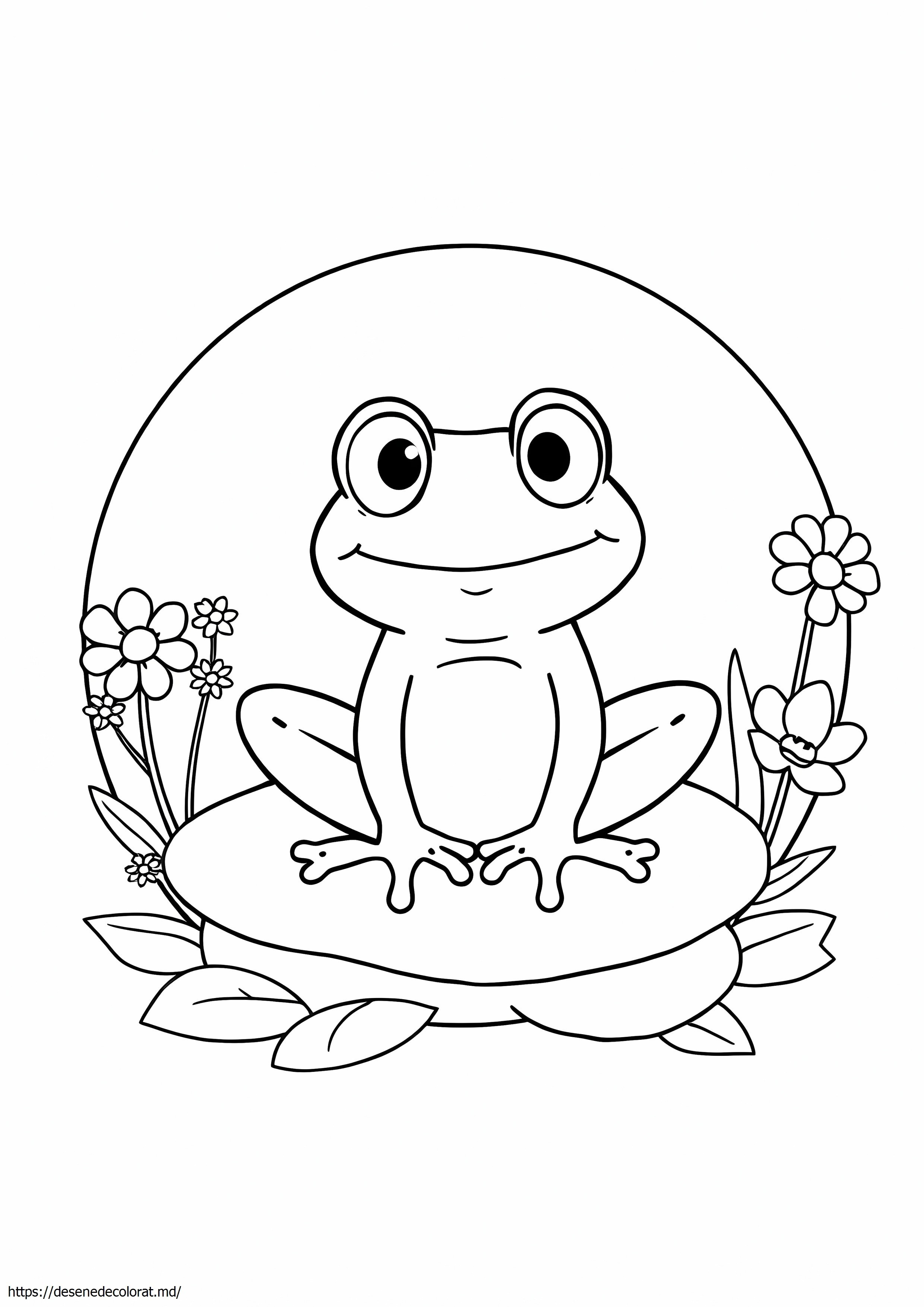 Pepe broasca