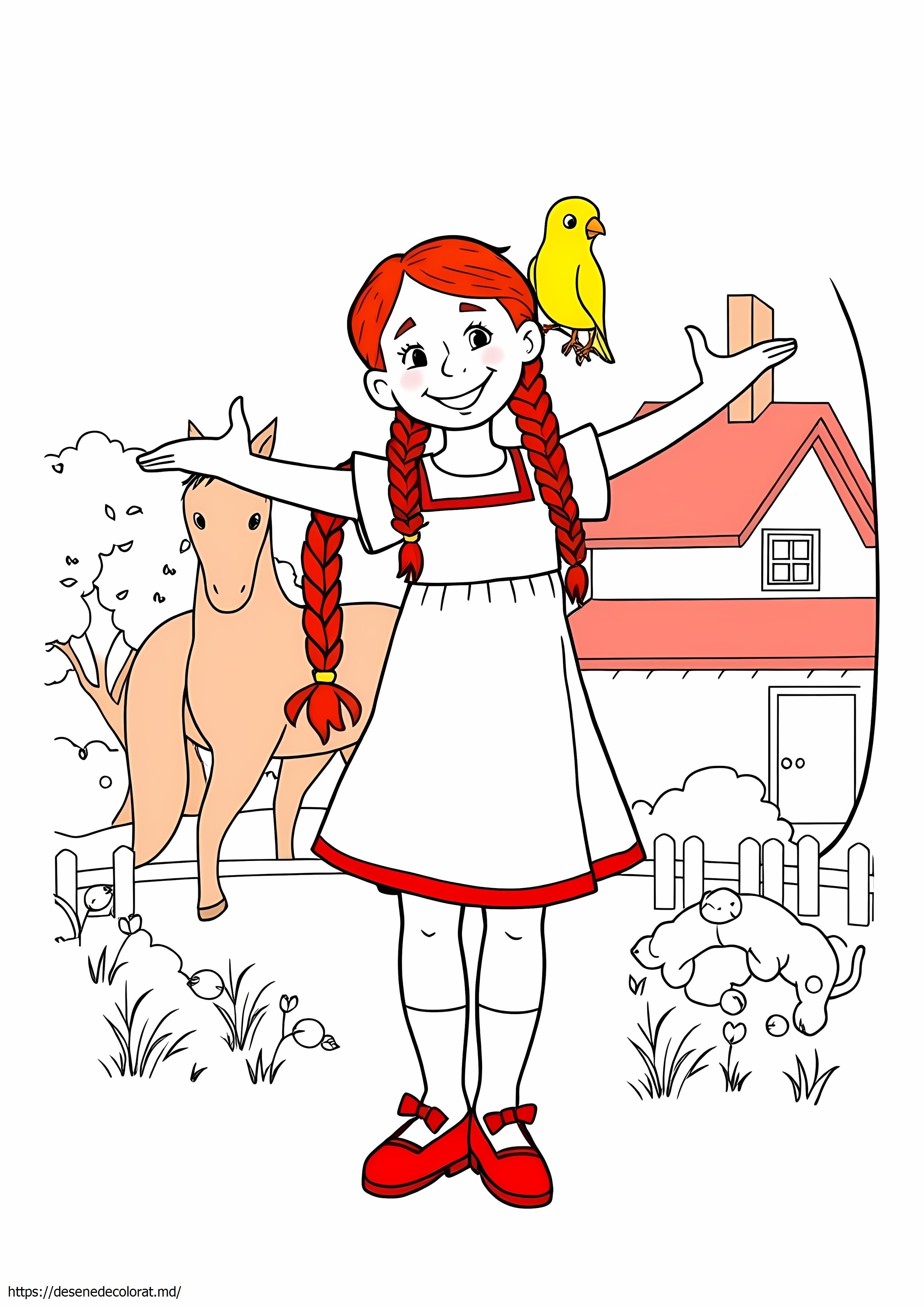 Pippi ciorapi lungi