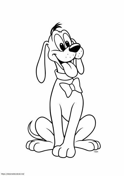 Câinele pluto
